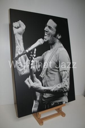 Laminage Ben Harper