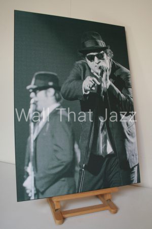 Laminage Blues Brothers on Stage